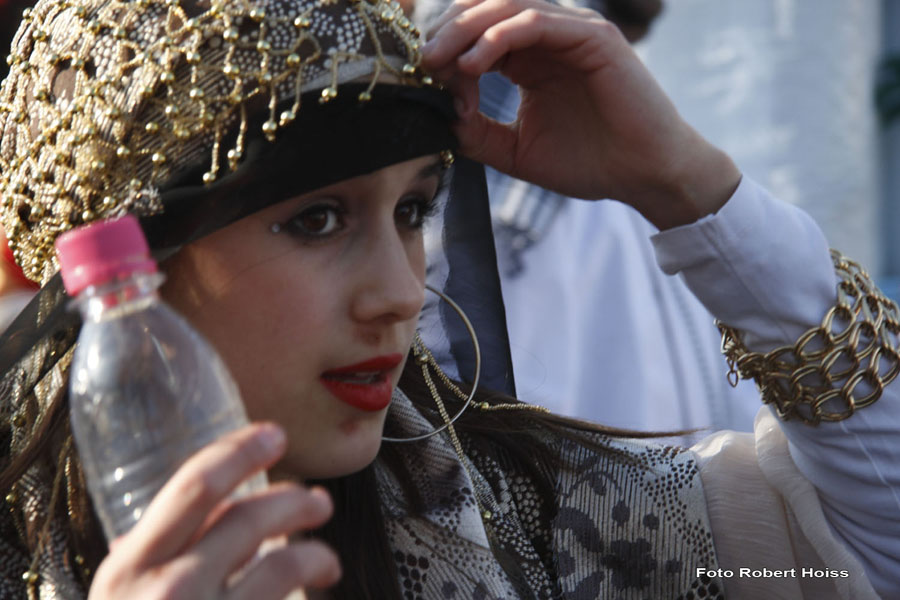 2010-02-16_037_Faschingszug