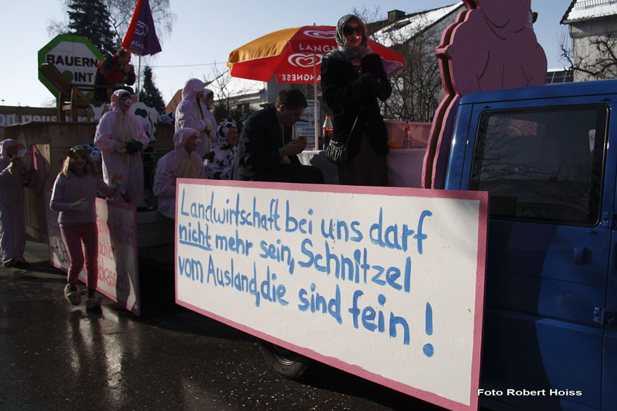 2010-02-16_042_Faschingszug