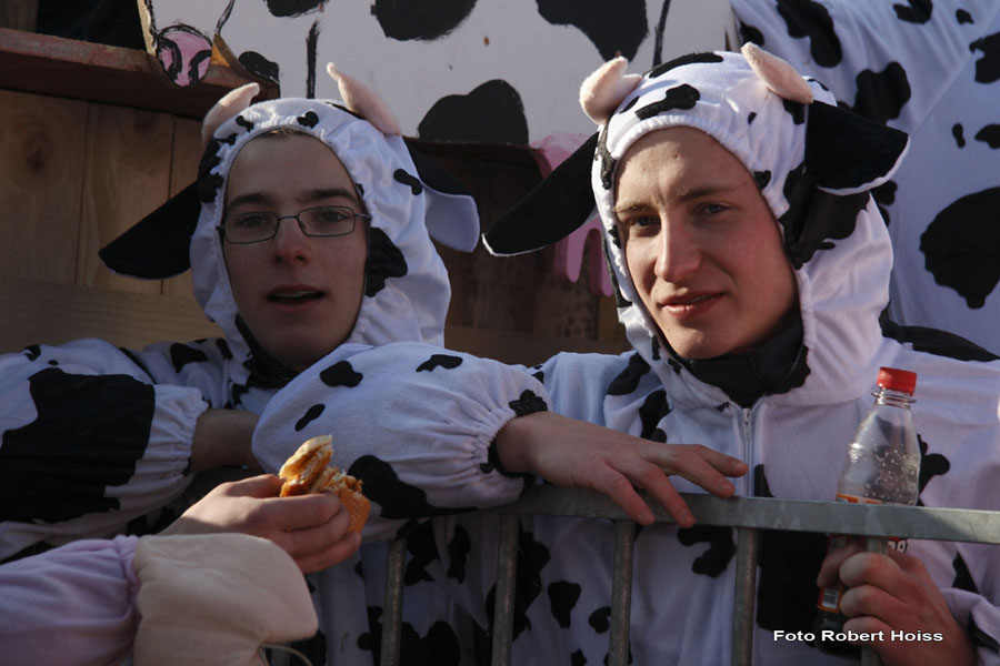 2010-02-16_043_Faschingszug