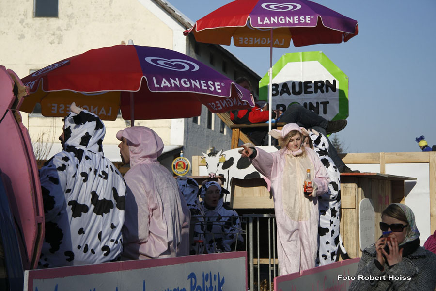 2010-02-16_152_Faschingszug