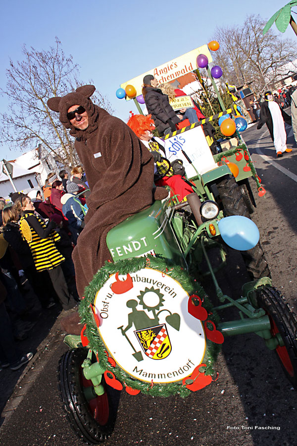 2010-02-16_046_Faschingszug