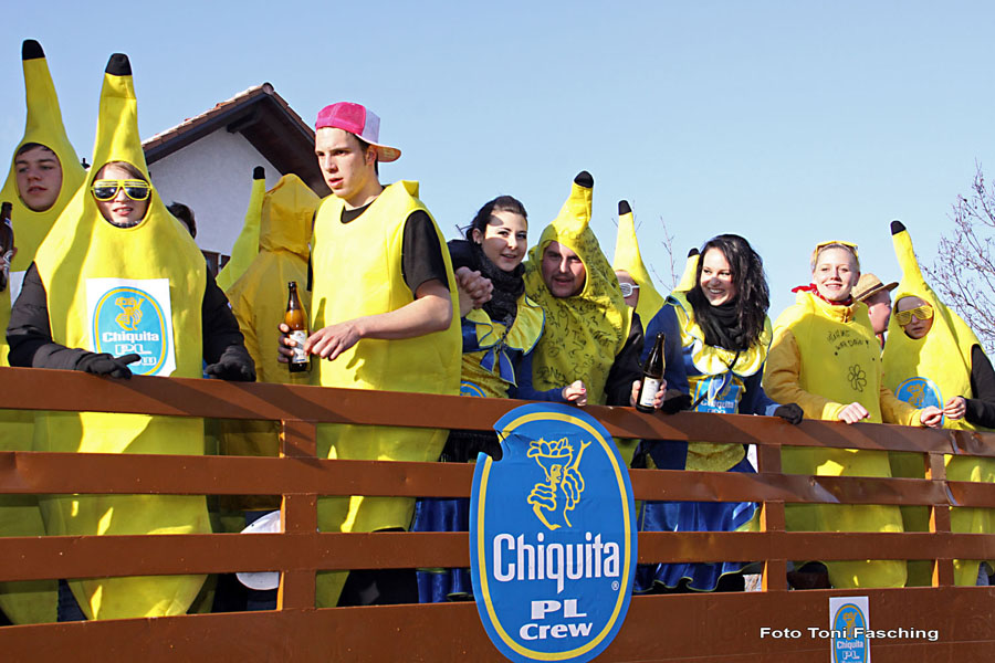 2010-02-16_050_Faschingszug