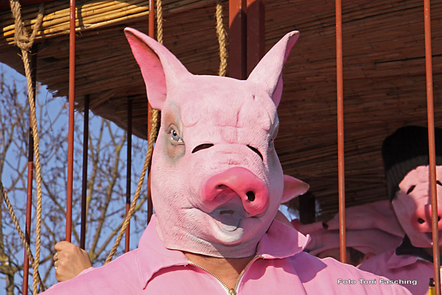 2010-02-16_061_Faschingszug