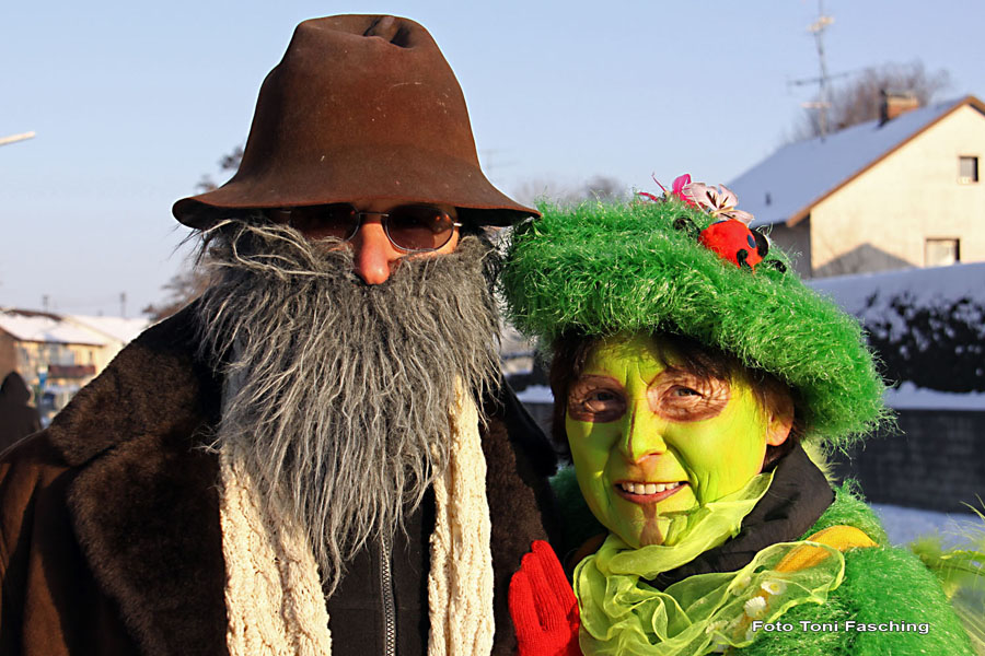 2010-02-16_093_Faschingszug