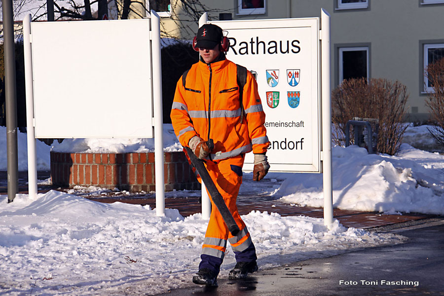 2010-02-16_098_Faschingszug
