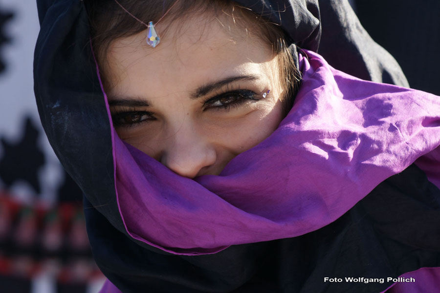 2010-02-16_075_Faschingszug_Wolfi