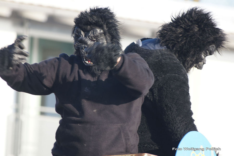 2010-02-16_078_Faschingszug_Wolfi