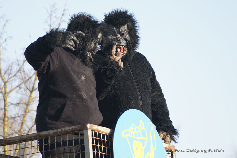 2010-02-16_079_Faschingszug_Wolfi