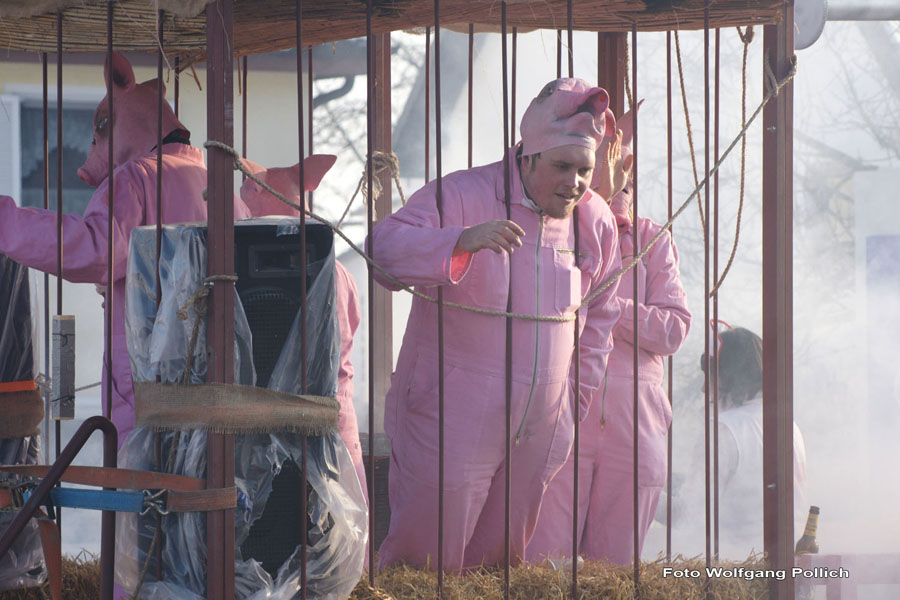 2010-02-16_083_Faschingszug_Wolfi