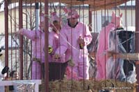 2010-02-16_051_Faschingszug_Wolfi