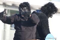 2010-02-16_078_Faschingszug_Wolfi