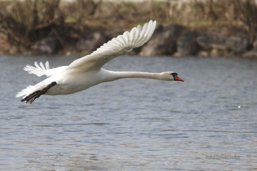 2010-04-11_02_Amperstausee
