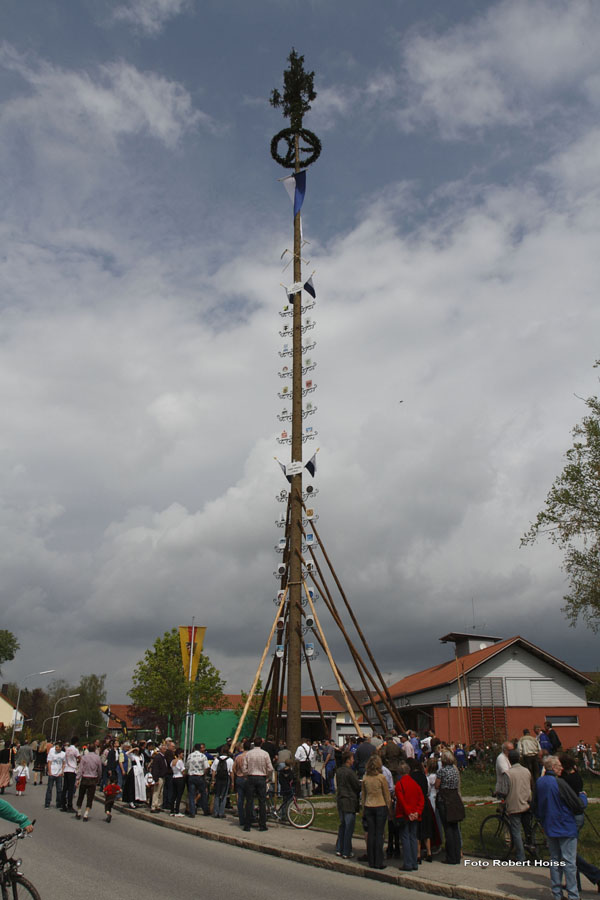 2010-05-01_212_Maibaumaufstellen