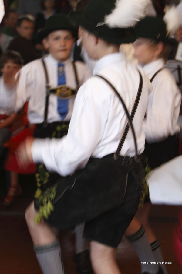 2010-05-01_246_Maibaumaufstellen