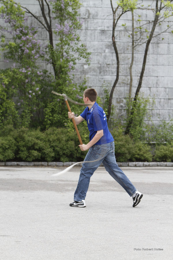 2010-05-01_259_Maibaumaufstellen