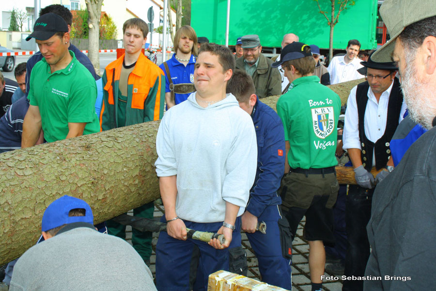 2010-05-01_158_Maibaum