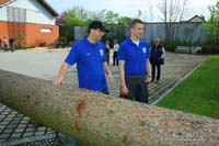 2010-05-01_157_Maibaum