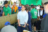 2010-05-01_158_Maibaum