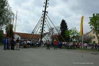 2010-05-01_171_Maibaum