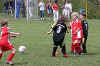 2010-05-23_214_Jugendpfingstturnier_F2_SpVgg-Wildenroth_F2-Mammendorf_F2_1-0