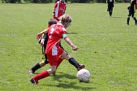2010-05-23_216_Jugendpfingstturnier_F2_SpVgg-Wildenroth_F2-Mammendorf_F2_1-0