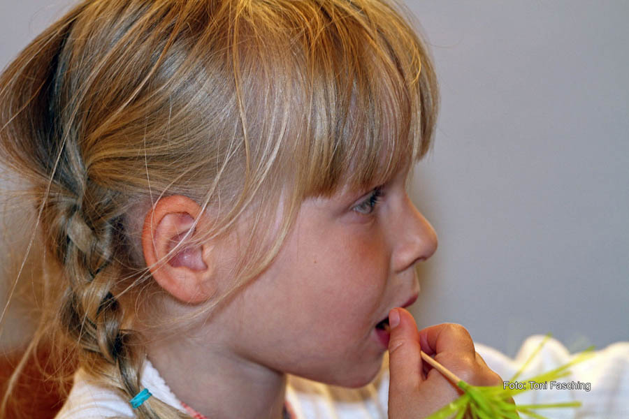 2010-06-11_032_Musikalische-Nacht