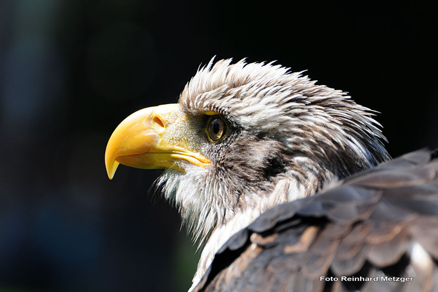 2010-08-30_02_Angeber