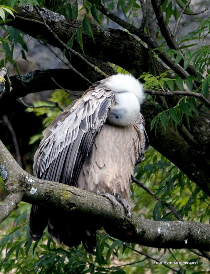 2010-08-30_04_Mein_Deo_hat_versagt