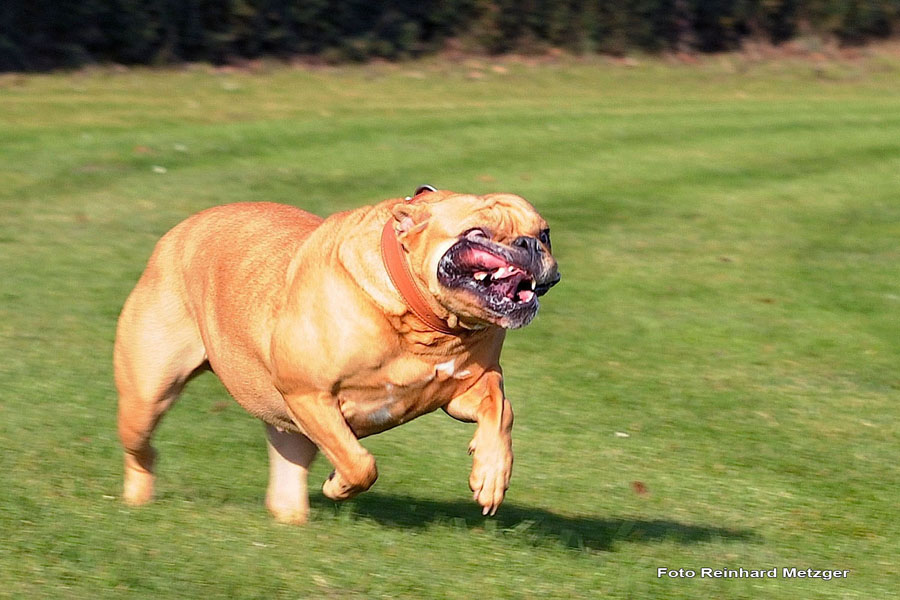 2010-08-30_13_ich_bin_schoener