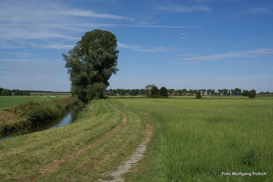 2010-08-31_04-Die Maisach Nassenhausen-Mammendorf_WP