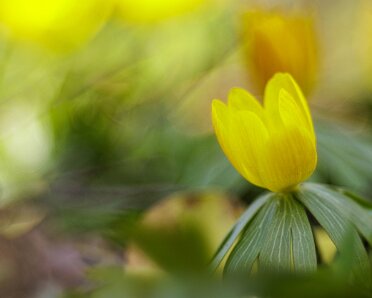 2025-03-31_Impressionen_März_Robert-Hoiss