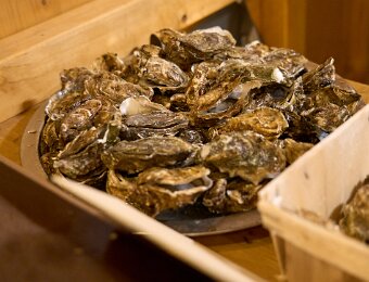 2025-12-06_008_Christkindlmarkt_WP