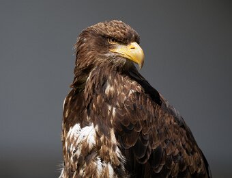 2026-04-25_007_Naturfototage_FFB_WP