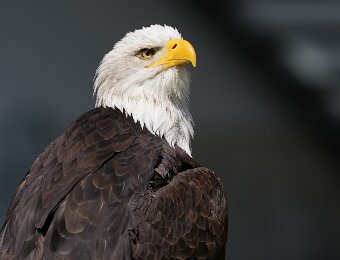 2026-04-25_009_Naturfototage_FFB_WP