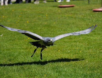 2026-04-25_015_Naturfototage_FFB_WP
