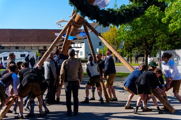 2026-05-01_02_Maibaum_08205_JG