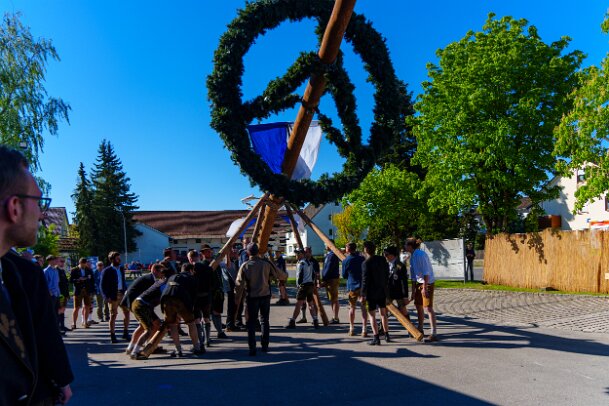 2026-05-01_03_Maibaum_08206_JG