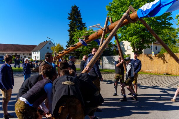 2026-05-01_04_Maibaum_08208_JG