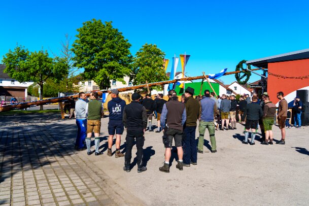 2026-05-01_07_Maibaum_08212_JG