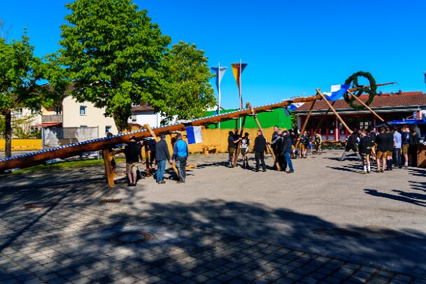2026-05-01_08_Maibaum_08213_JG