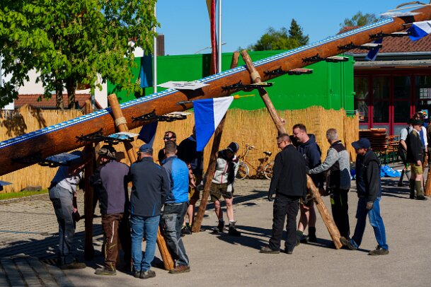 2026-05-01_10_Maibaum_08215_JG
