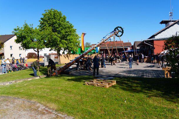 2026-05-01_17_Maibaum_08238_JG