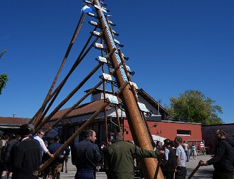 2026-05-01_001_Maibaum_Party_WP
