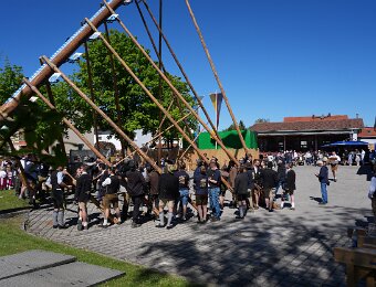 2026-05-01_002_Maibaum_Party_WP
