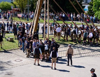 2026-05-01_017_Maibaum_Party_WP