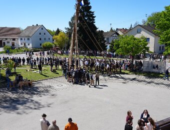 2026-05-01_018_Maibaum_Party_WP