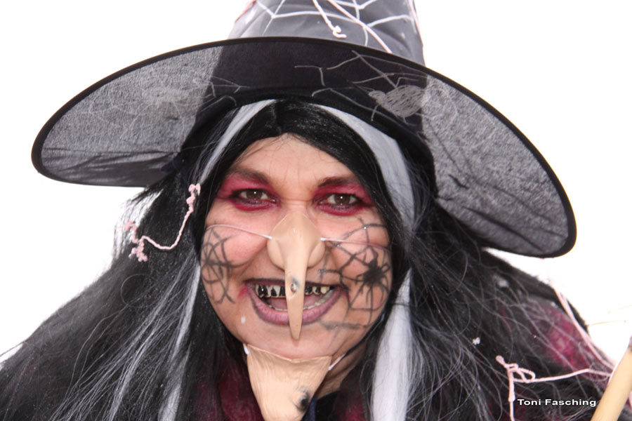 2009-02-24_031_Faschingszug