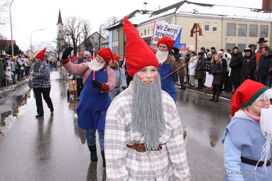 2009-02-24_042_Faschingszug