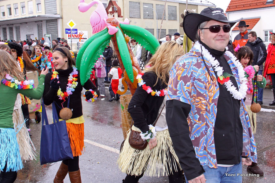 2009-02-24_065_Faschingszug