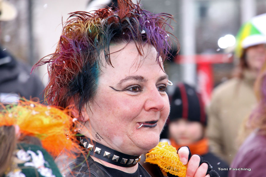 2009-02-24_071_Faschingszug